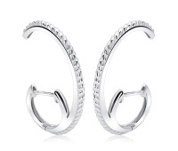Nifty Unique Shaped Silver Stud Earring HO-2471
